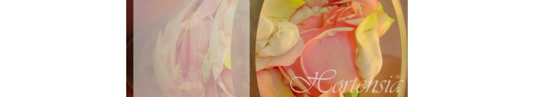 Floral Rose-Violet